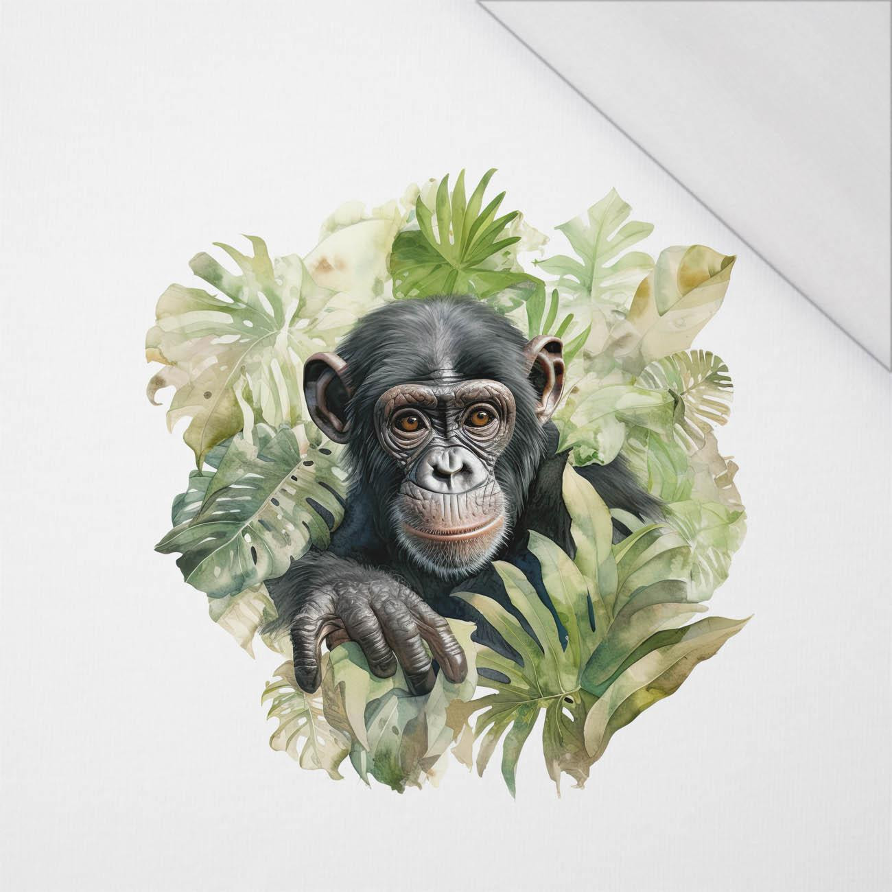 WATERCOLOR MONKEY - PANEL (60cm x 50cm) SINGLE JERSEY