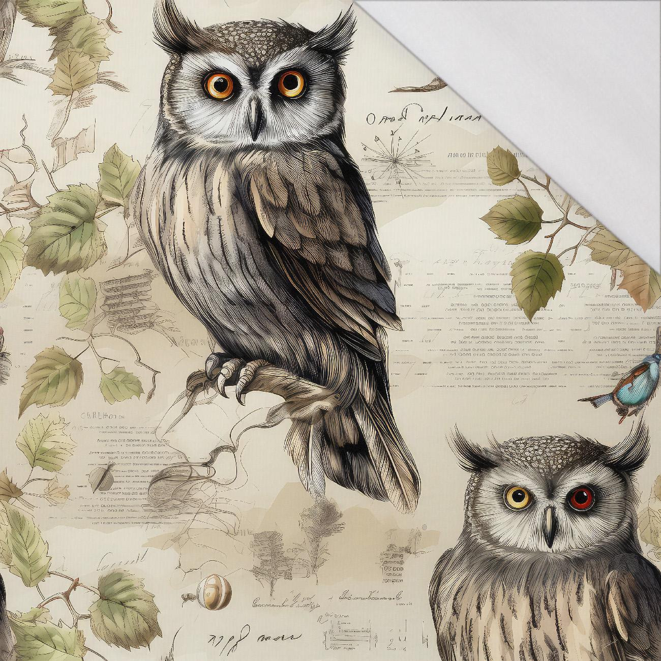 PASTEL BIRDS PAT. 4 (OLW) - single jersey 