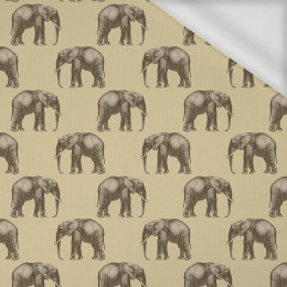 ELEPHANTS (SAFARI) - single jersey with elastane 