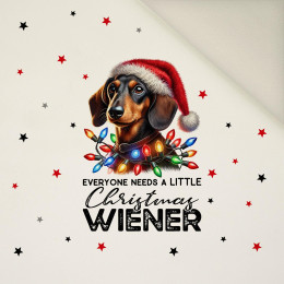 CHRISTMAS DOG PAT. 4 - panel (60cm x 50cm) Upholstery velour