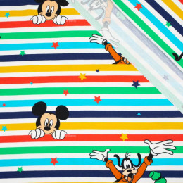 MICKEY AND FRIENDS / colorful stripes  - single jersey TE210