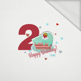 2ST BIRTHDAY / BIRTHDAY CAKE - panel looped knit 