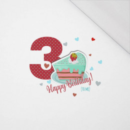 3ST BIRTHDAY / BIRTHDAY CAKE - SINGLE JERSEY PANEL 