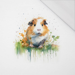 WATERCOLOR GUINEA PIG - PANEL (60cm x 50cm) SINGLE JERSEY