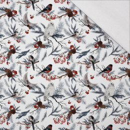 WINTER BIRDS pat. 1 (WINTER IN PARK) - single jersey 
