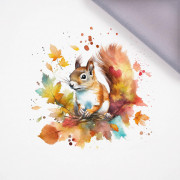 WATERCOLOR SQUIRREL - panel,  softshell (60cm x 50cm)