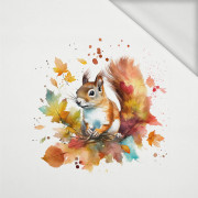 WATERCOLOR SQUIRREL - panel (60cm x 50cm) looped knit