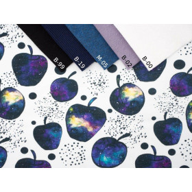 GALACTIC FRUITS - looped knit SP250