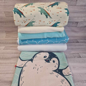 PACKAGE 13 - THICK KNITTENS MIX