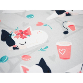 J adore Paris / peach - single jersey with elastane TE210