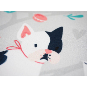 J adore Paris / peach - single jersey with elastane TE210