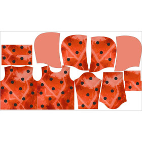 LADYBUG’S HOODIE (ALEX) - sewing set