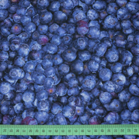 BLUEBERRIES - quick-drying woven fabric