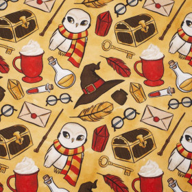 MAGIC MIX PAT. 2 (MAGIC SCHOOL) / red - looped knit fabric