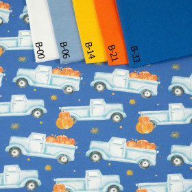 50CM PUMPKINS ON THE PICKUP / GLITTER STARS (PUMPKIN GARDEN) - looped knit fabric