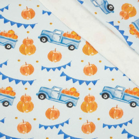 PUMPKINS ON THE PICKUP /  ROSETTES (PUMPKIN GARDEN) - looped knit fabric