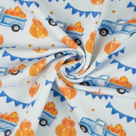 PUMPKINS ON THE PICKUP /  ROSETTES (PUMPKIN GARDEN) - single jersey with elastane 