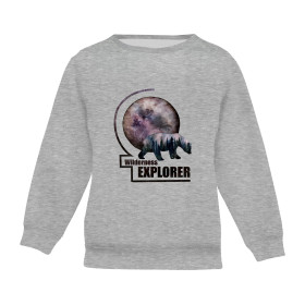 CHILDREN'S (NOE) SWEATSHIRT - GALAXY / M-01 melange light grey - looped knit fabric 