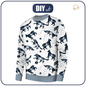 MEN’S SWEATSHIRT (OREGON) BASIC - FOREST ANIMALS (GALACTIC ANIMALS) - sewing set