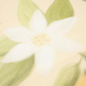 ORANGES no. 2 / vanilla - single jersey with elastane 