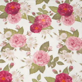 ROSE GARDEN / white - single jersey with elastane 