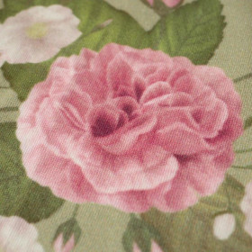 ROSE GARDEN / beige - single jersey with elastane 