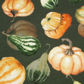 PUMPKINS AND ZUCCHINI / olive (PUMPKIN GARDEN) - looped knit fabric