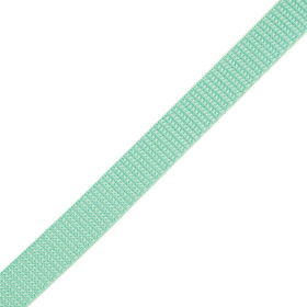 Webbing tape - MINT / Choice of sizes