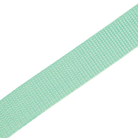 Webbing tape - MINT / Choice of sizes