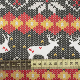 ALPINE REINDEER / jumper - brushed knitwear