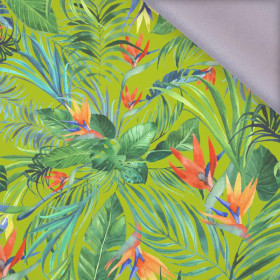 PARADISE JUNGLE / green - softshell
