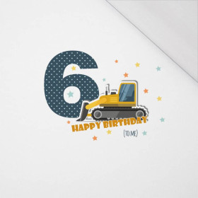 6ST BIRTHDAY / BULLDOZER -  panel, single jersey 120g 