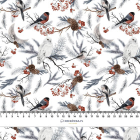 WINTER BIRDS pat. 1 (WINTER IN PARK) - single jersey 