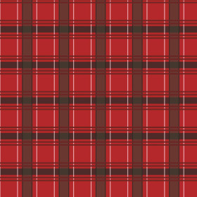 CHECK PAT. 11 / red - lycra 300g