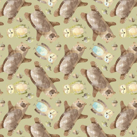 BEARS AND OWLS (FOREST ANIMALS)