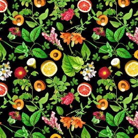 MINI PARADISE FRUITS pat. 2 (PARADISE GARDEN) 