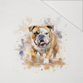 WATERCOLOR BULLDOG - panel (75cm x 80cm) Hydrophobic brushed knit