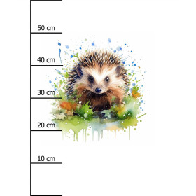 WATERCOLOR HEDGEHOG - PANEL (60cm x 50cm) SINGLE JERSEY