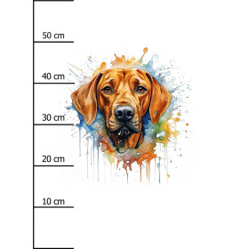 WATERCOLOR RIDGIE - PANEL (60cm x 50cm) SINGLE JERSEY