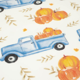 PUMPKINS ON THE PICKUP / LEAVES (PUMPKIN GARDEN) - looped knit fabric