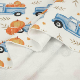PUMPKINS ON THE PICKUP / LEAVES (PUMPKIN GARDEN) - looped knit fabric