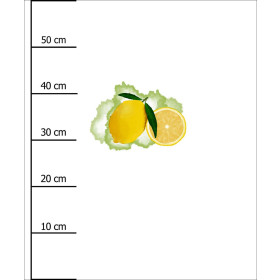 LEMON - PANEL (60cm x 50cm) SINGLE JERSEY