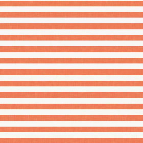 STRIPES 1x1 - acid ecru / acid red 