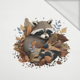 SLEEPING RACCOON - panel (75cm x 80cm) looped knit