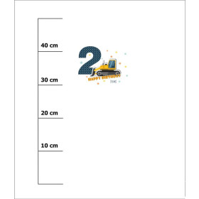 2ST BIRTHDAY / BULLDOZER  - panel