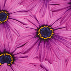 GERBERAS - looped knit