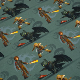 HOW TO TRAIN YOUR DRAGON - single jersey TE210