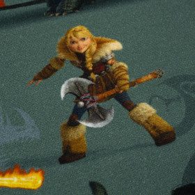 HOW TO TRAIN YOUR DRAGON - single jersey TE210