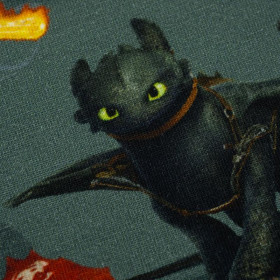 HOW TO TRAIN YOUR DRAGON - single jersey TE210