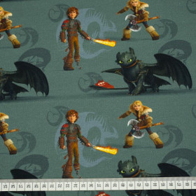 HOW TO TRAIN YOUR DRAGON - single jersey TE210
